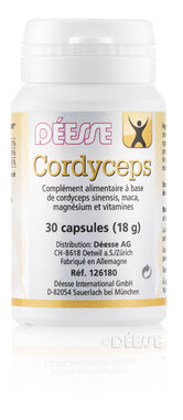 Cordyceps